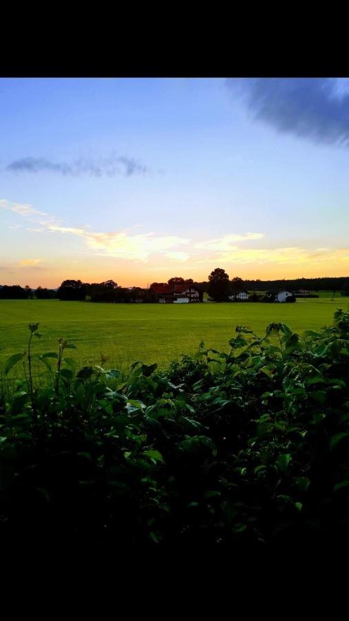 Ferienhof Oberhuber Staudach-Egerndach Exteriör bild