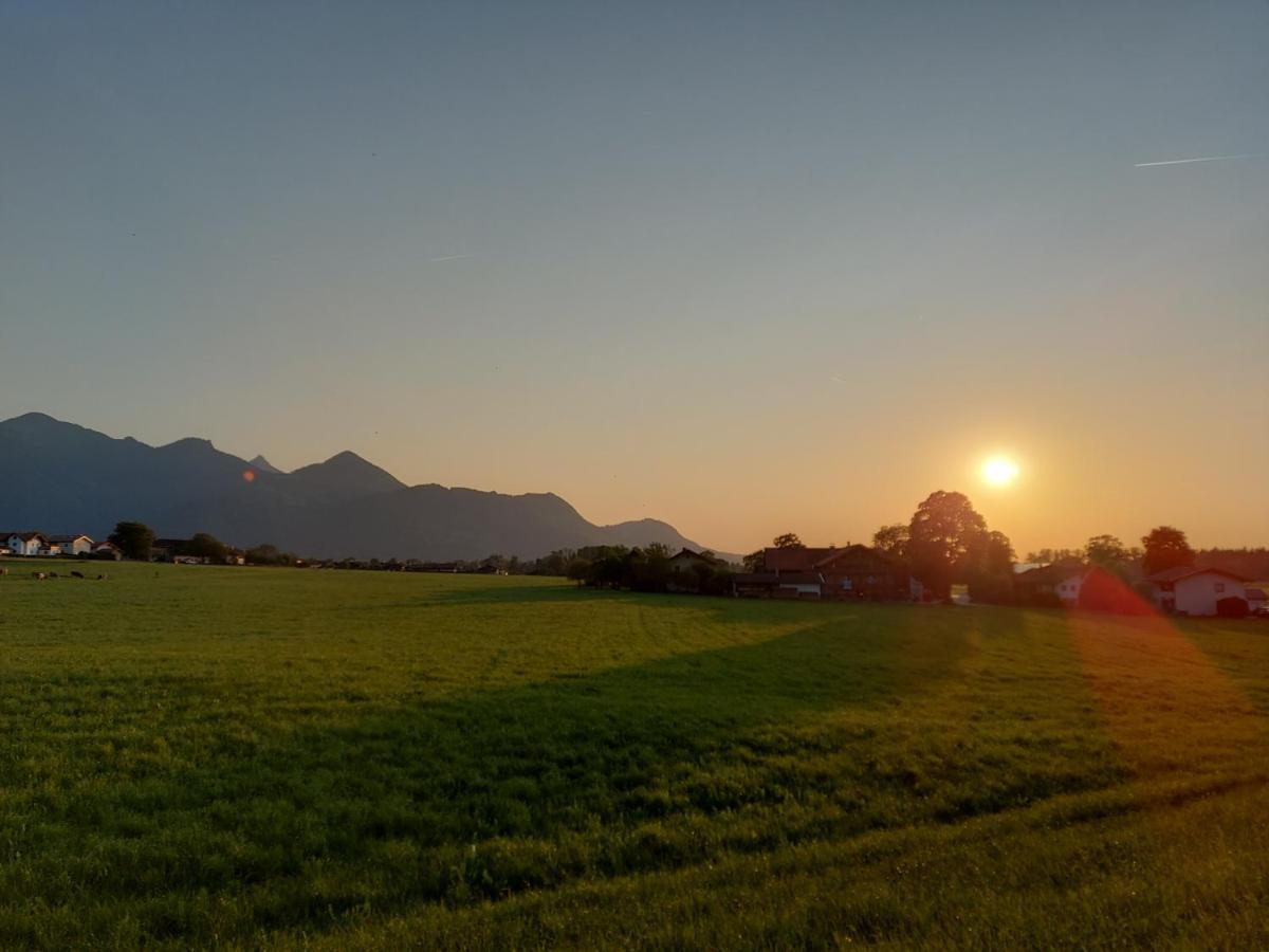Ferienhof Oberhuber Staudach-Egerndach Exteriör bild