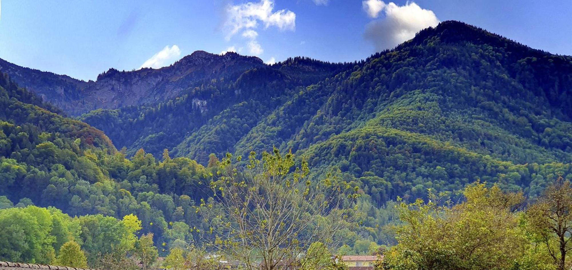 Ferienhof Oberhuber Staudach-Egerndach Exteriör bild